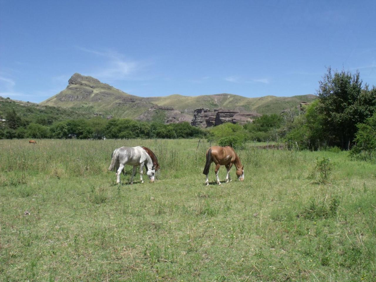 ホテルOngamira Turismo Rural コルドバ エクステリア 写真